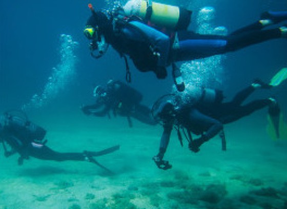 Buceo Actividades Isla Navidad Manzanillo Colima Grand Isla Navidad Resort